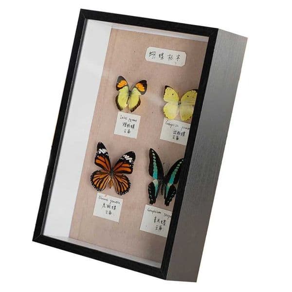 Frames Hollow 5cm 3D hollow 67810 inch A4 desktop photo frame Porta Retrato PortaRetratos Para Fotos Home Deco CL241231 H260310