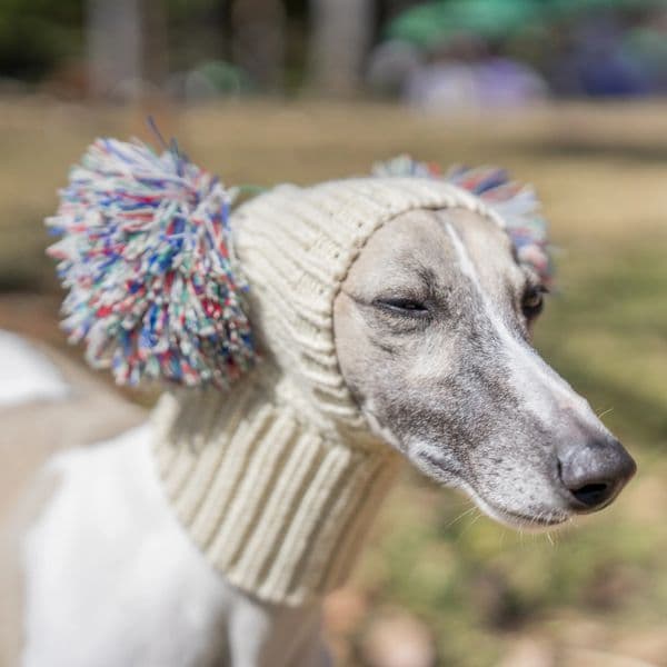 Italian Greyhound Whippet With Fur Ball Pet In Winter Elastic Wool Puppy Big Dog Hat 240627 B2