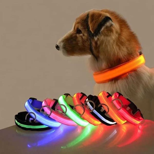 Nylon LED Night Safety Flashing Glow In The Dark Dog Leash Dogs Luminous Fluorescent Pet Dog Collar wholesale Y240803