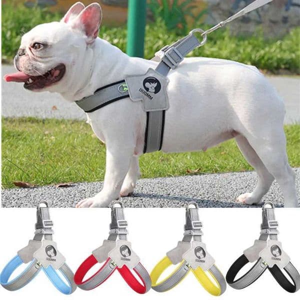 Dog Harness Leash Set For Small Large Dogs Adjustable Puppy Cats Harness Vest French Bulldog Pug Outdoor Walking Lead Leash Y240803