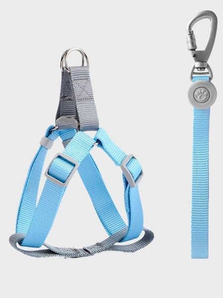 Adjustable Nylon Dog Leash Harness To Prevent Break Free Macaron Pet Harness and Leash Set for Small Medium Dogs Dog Walking Y240803
