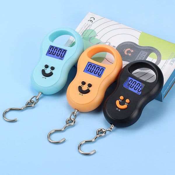 Mini portable scale household electronic scale gram scale precision weighing electronic scale selling vegetables 50kg portable scale spring gram scale