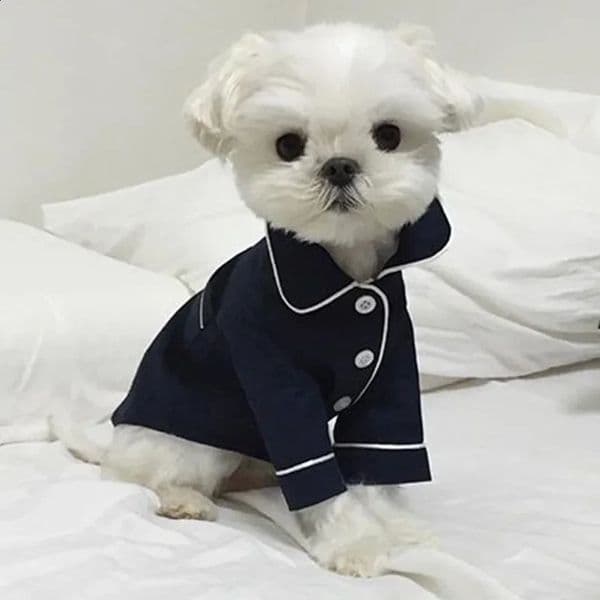 Dog Pajamas Summer Dog Clothes for Small Dogs Chihuahua Pet Shirt Clothing Ropa Perro Dogs Coat Jacket Puppy Costume Yorkshire 240722