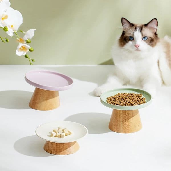 Cat Ceramic Bowl Puppy Dogs Food Water Dish Bowls Pet Elevated Canned Snacks Dining Plate Cats Small Dogs Feeding Supplies 240722