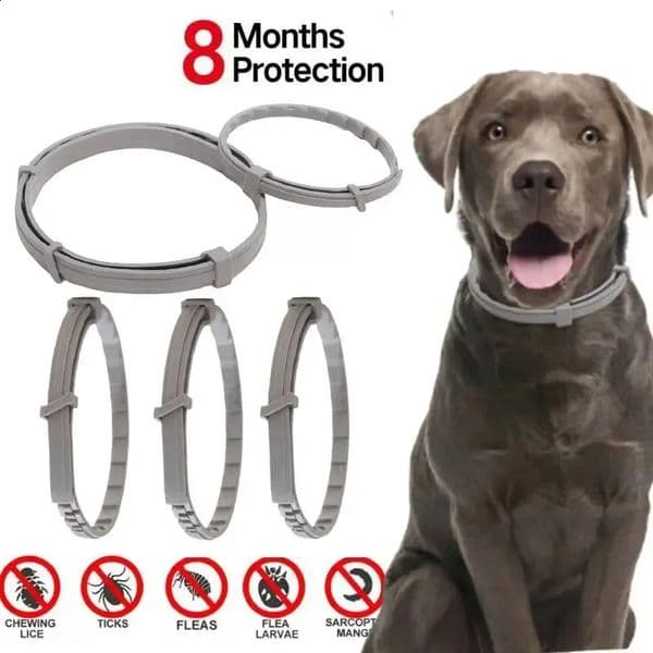 Dog Anti Flea And Ticks Cats Collar Pet 8Month Protection Retractable Collars For Puppy Cat Large Dogs Accessories 240722