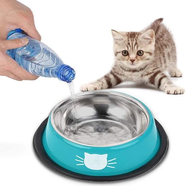 Thick Non-slip Cat Dog Food Bowl Foods Utensils Single Stainless Steel Pet Bowls For Cats And Puppies Cat Accessories 240723