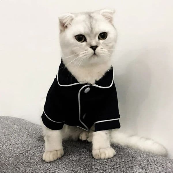 Christmas Pet Cat Costume Clothes for Cats Winter Kedi Katten Sphynx Sweatshirt Hoodie Suit Mascotas Clothing Ropa Para Gato 240722