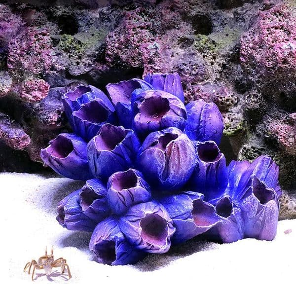 Artificial Coral Fish Tank Ornaments Simulation Starfish Resin Reef Rock Landscape Making Aquarium Decor Craft Desktop Adornment 240724