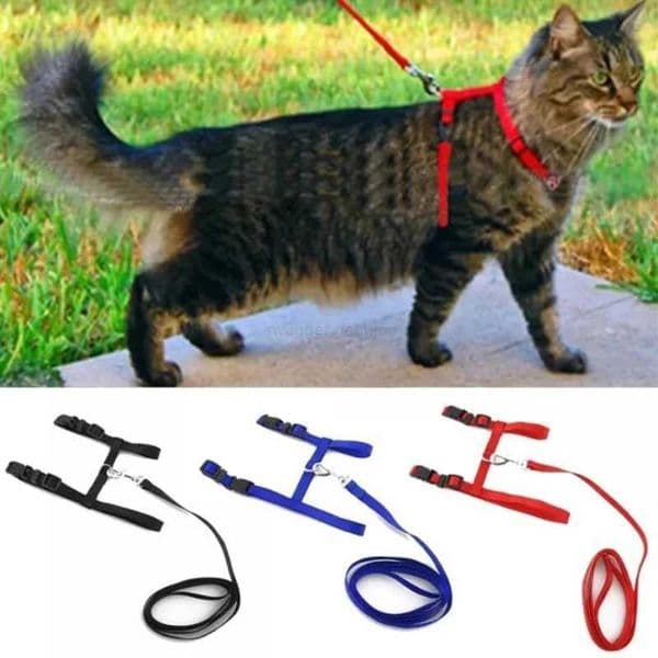 Cat Collar Harness Leash Adjustable Nylon Kitten Halter Collar Pet Traction Puppy Dog Cat Product Pet Harness BeltLd240725