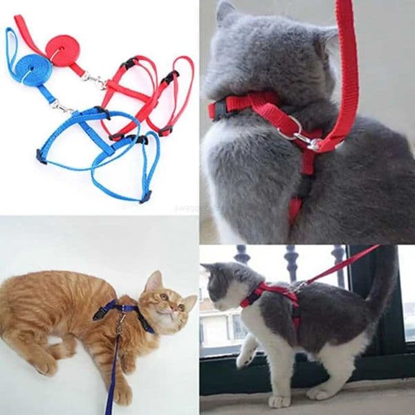 Dropshipping!! Adjustable Nylon Cat Puppy Pet Harness Collar Lead Leash Traction Safety RopeL240725