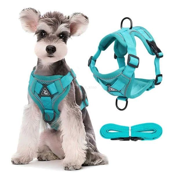 Reflective Puppy Harness Dog Vest with Walking Lead Leash Adjustable Kitten Collar Nylon Pet Harness for Small Medium Dogs CatsL240725