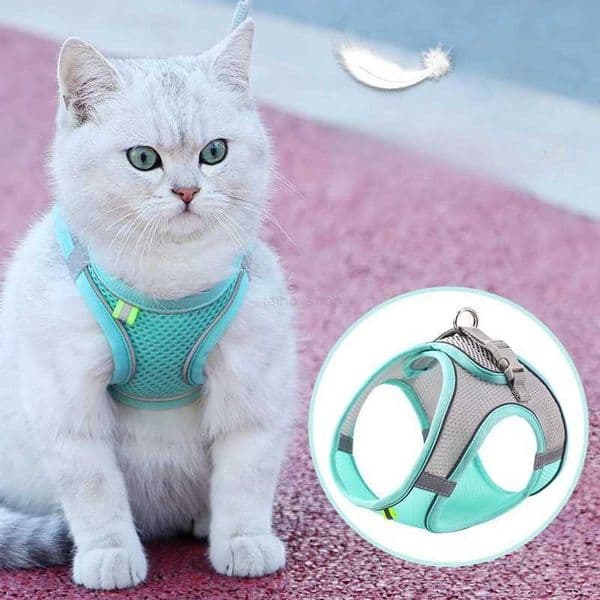 Vest Walking Traction Rope Cat Harness with Reflective Strip Dog Collar Breathable Mesh Harness for Small Medium Pet Cat DogL240725