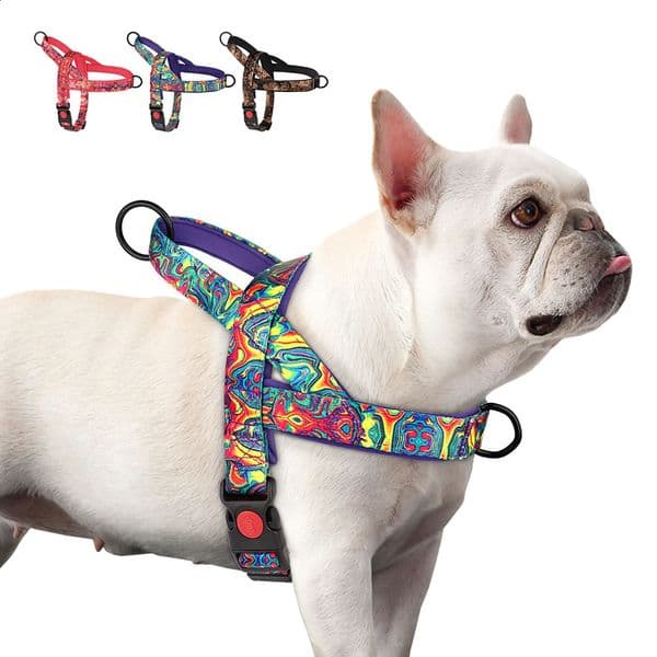 Quick Control Dog Harness With Handle No Pull Nylon Dogs Vest Colorfull Print Pet Adjustable Bulldog Chihuahua 240724