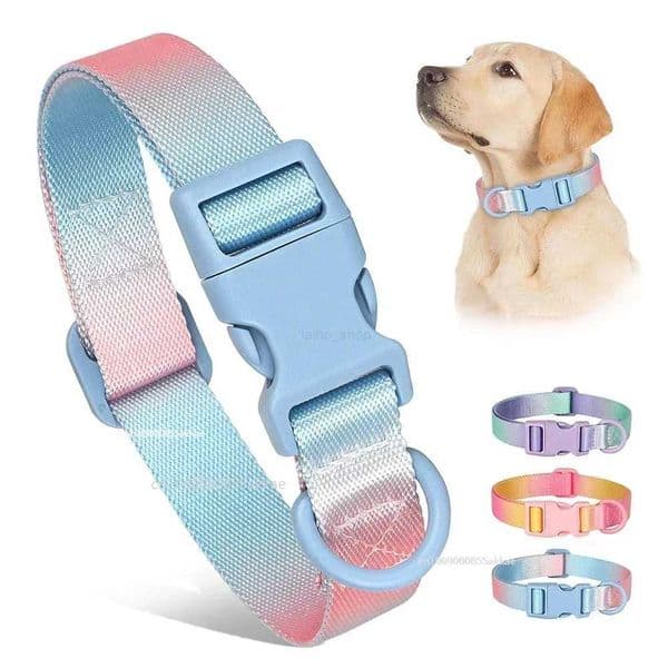 Nylon Dog Collar Adjustable Cat Small Dog Collars Gradient Pet Necklace Fashion Collars Accessories for Small Medium Large DogsL240725