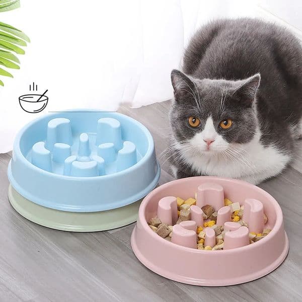 Slow Feeder Dog Bowls Dishes Bloat Stop Puppy Food Water Bowl for Cat Non Slip Eating Puzzle Maze Fun Pet Feeding 240724