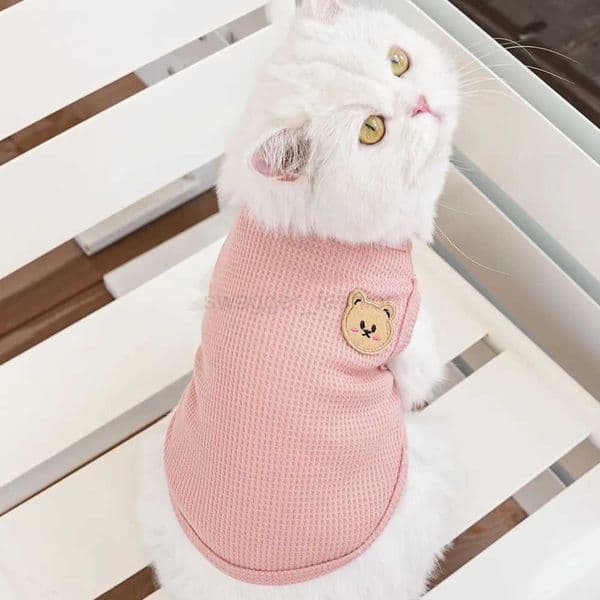 Cat Clothes Waffle Bear Pet Vest Summer Teddy Chihuahua Small Dog Two legged Clothes Cat Puppy Clothes Pet CostumeB270726