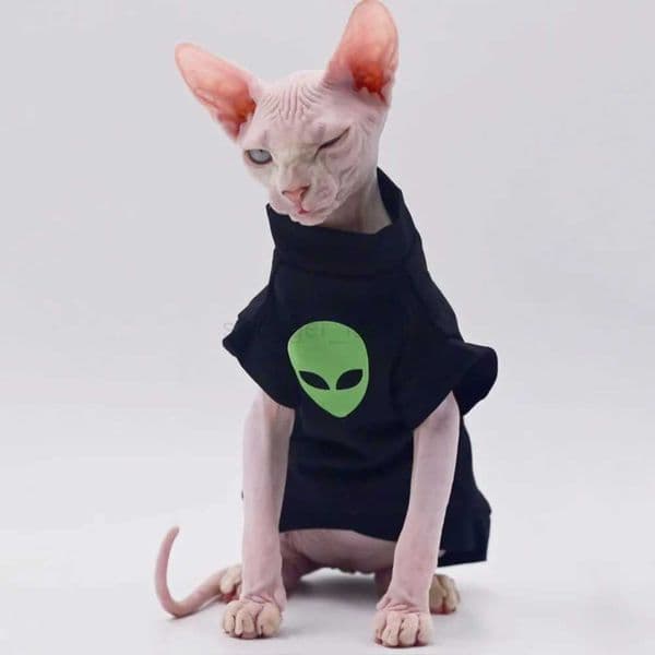 Cat Clothes for Sphynx Fashion Black Cotton Coat for Cat Striped Winter T-shirt For Devon Rex Soft cotton T-shirt Cat costumeB270726