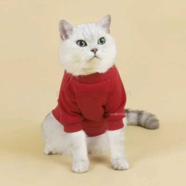 Pet Hoodie Autumn and Winter New Comfortable Breathable Warm Fluffy Dog Clothes Small Dog and Cat ClothesBk270726