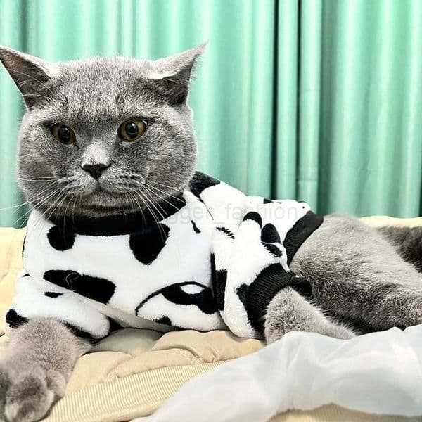 Fashion Pet Cat Clothes Winter Warm Sweatshirt Soft Cozy Cute Kitten Costume Hoodie Kitty Puppy Coats Dog Jacket Ropa Para GatosB270726
