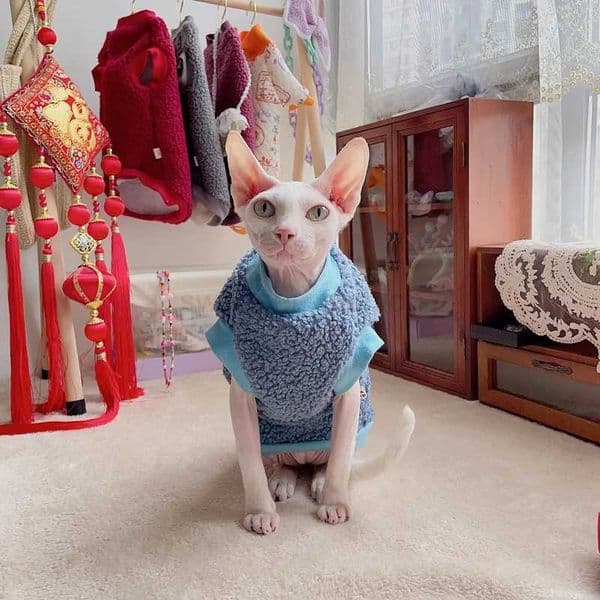 Fashion Warm Sphynix Cat Sweater Hairless Cat Clothes Thickening Soft Double-side Lamb Wool Fiber Coat for Devon Winter OutwearB270726