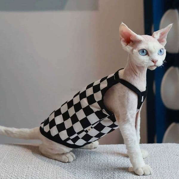 Pet Cat Clothes Sphynx Kitten Plaid Vest Shirt For Sphinx Devon Rex Breathable Cat Camisole Soft Summer Clothing Cat SupplierB270726