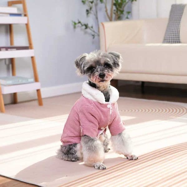 Dog Clothes for Small Medium Dogs Cats Windproof Autumn Winter Puppy Striped Fleece Jacket Coat Schnauzer French Pug CostumesXJ240731