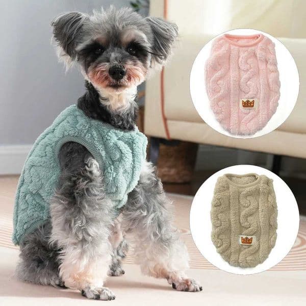 Warm Dog Clothes For Small Medium Dogs Cats Autumn Winter Outdoor Puppy Fleece Sweatshirt Schnauzer French Bulldog Pet CostumeXJ240731