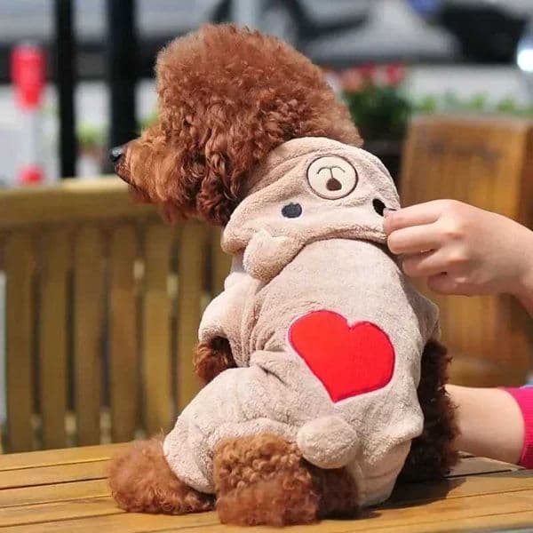 Pet Dog Clothes Winter Soft Fleece Dogs Hoodies Pet Clothes for Small Dogs Puppy Cats Chihuahua Yorkshire Pets CostumeXJ240731