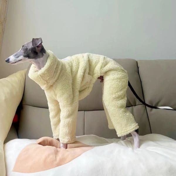 Winter Onesies For Dogs Soft Puppy Clothes High Neck Warm Italian Greyhound WhippetMexican HairlessMaltese 241028