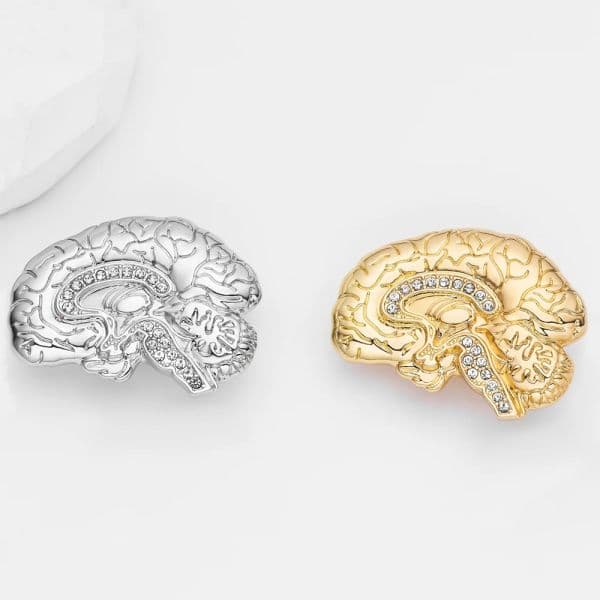 Hanreshe Classic Medical Brooch Pin Brain Kidney Skull Dental Lapel Badge Medicine Jewelry for Doctor Nurse Gifts