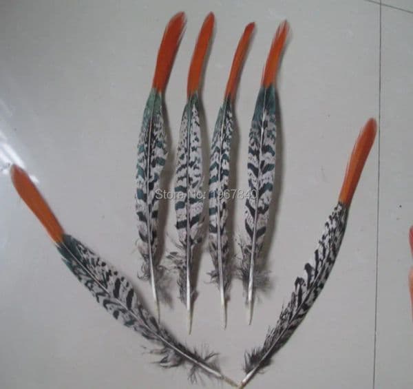 Natural Golden pheasant Tail Feather 100pcs/lot 5-30 cm Long Red tip Lady Amherst Pheasant plume jewelry clothing free shipping