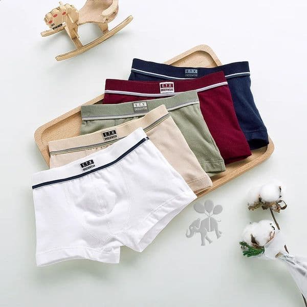 Boys Underwear Children Panties Boys Cotton Boxer Shorts Childrens Panties Kids Underwear For 2-16 years 5 pcs 240329
