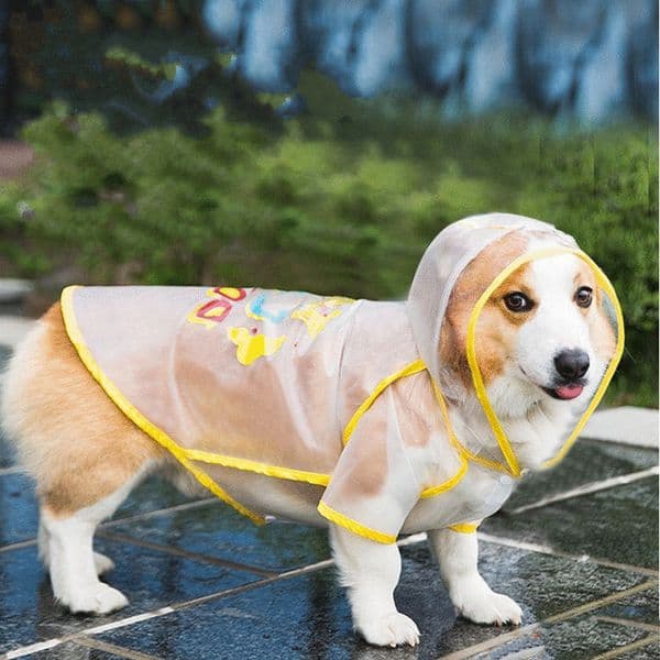 Pet Corgi Raincoat Spring And Summer Waterproof Dog Raincoat TPU Material Small And Medium-sized Dogs Corgi Dedicated