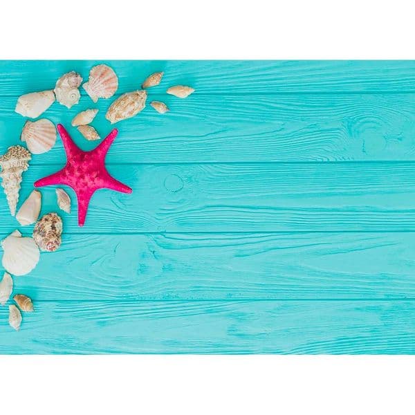 Starfish Shell Cyan Wooden Plank Photo Backdrops Computer Printed Photography Background for Children Baby Pet Toy Photobooth