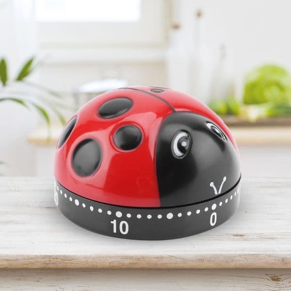 Kitchen Countdown Timer 60 Minutes Wind Up Mechanical Timer for Home Baking Cooking Oven
