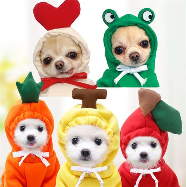 Luxury Cute Puppy Clothing: Warm Fleece Fruit Hoodie - Adorable Dog Clothes, Costume dog Coat For Small cat Dogs & Cats Free Shipping