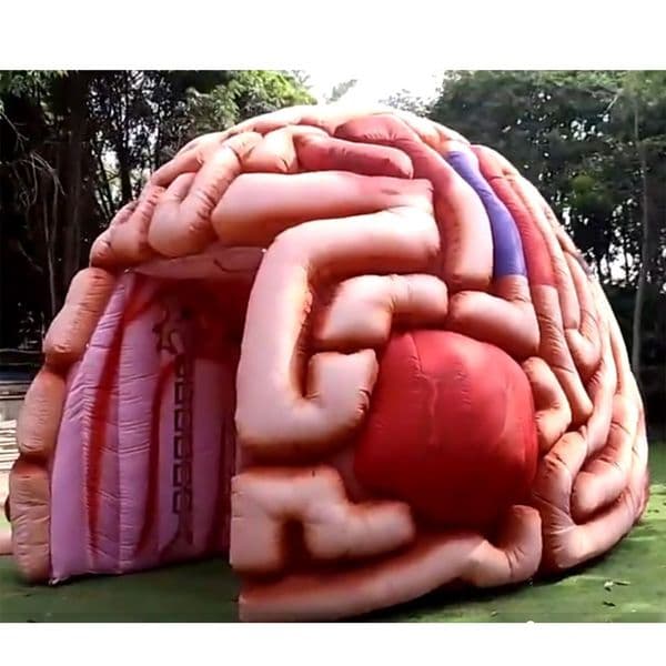 Lifelike 4m 13ft giant inflatable brain model colorful promotional fearful cerebrum tunnel tent for medical display