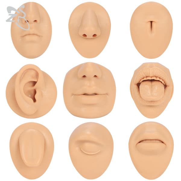 ZS 1PC Silicone Piercing Practice Body Parts for Women Men 3D Flexible Simulation Nose Tongue Ear Navel Model Jewelry Display