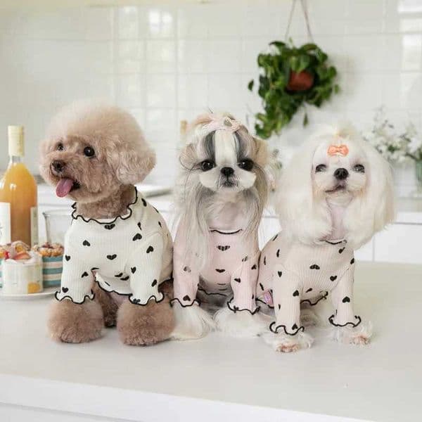 Autumn/Winter New Year Pet Underwear Clothing Embroidered Bear Vest Dog Cat Yorkshire Schnauer Malta M241116