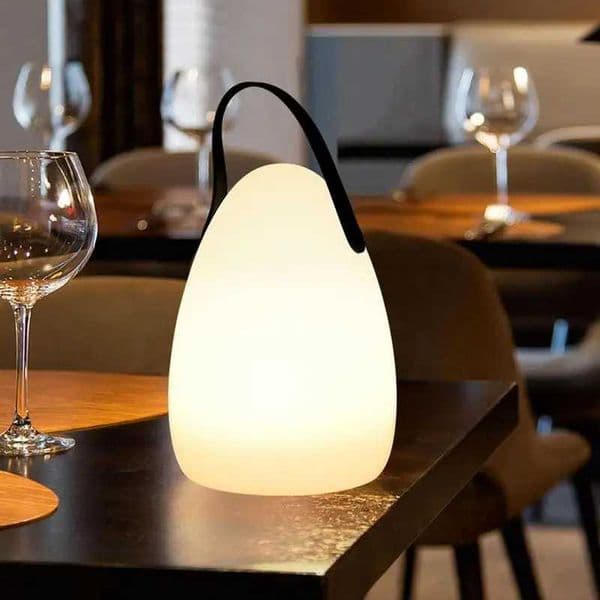 New Arrival Portab Lamps Rechargeab D Garden Light with 6-speed adjustable gear design for long-distance outdoor garden lighting Z241121