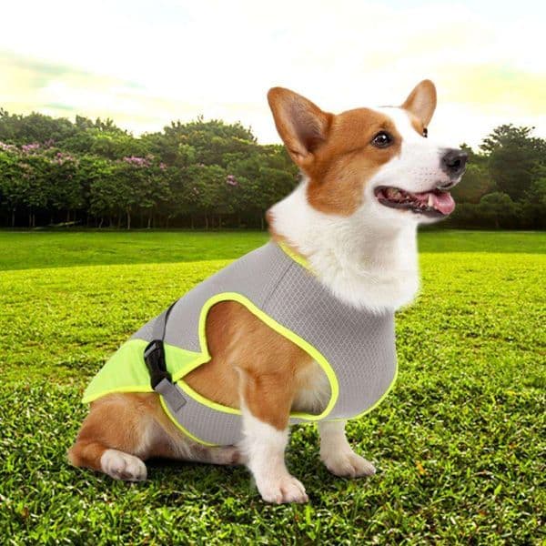 Summer Dog Coog Vest Heat Resistant Cool Pet Clothes Breathable Sun-proof Clothing for Outdoor Walking