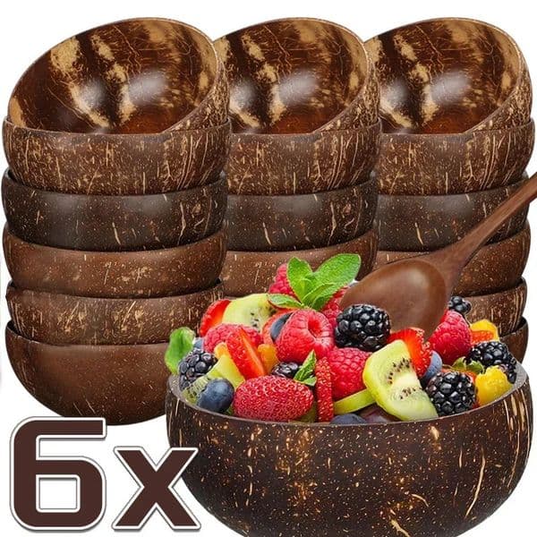Wholesale natural coconut bowl supply plate salad oat yogurt reusable wooden coconut shell bowl kitchen utensil set 241126