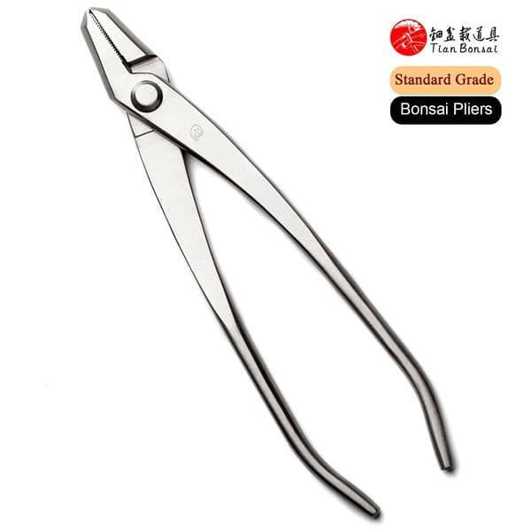 Standard grade 205 mm bonsai particleboard 3Cr13 alloy steel gold foil bonsai tool 241125