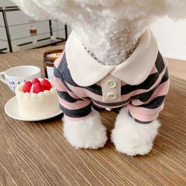 Dog Clothes Summer Pet Dog Polo Shirt Chihuahua Yorkie Clothing Solid Pet Dog Costume Dog Sweatshirt Soft Puppy PulloverXJ241127