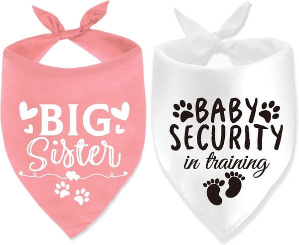 Luxury Big Sister cat Security In Training Printed Baby Announcement Bandanas Pregnancy Dog Bandana For dog Dogs Pet Scarf Accessories Free Shipping