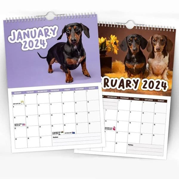 Paper Cheeky Dachshunds Calendar Gift Year's Gifts Hanging Calendar Time Planning Wall Decor Wall Calendar Home 240118