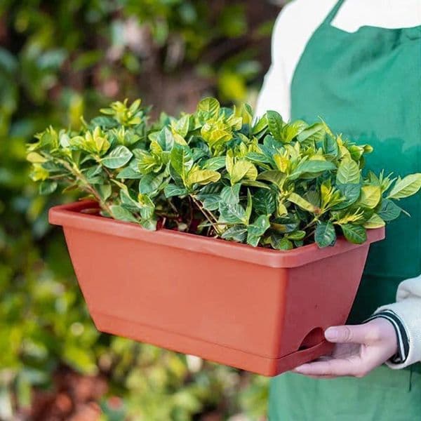 Vegetable with Drain Hole Large Capacity Shatterproof Rectangular Flower Pot Windowsill Planter Box Garden Supplies