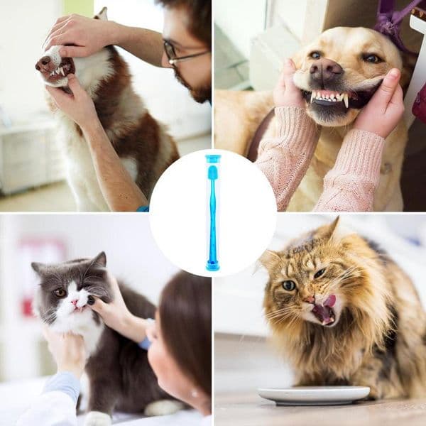 Pet Toothbrush Degree Oral clean Long Handle Cat Dog Tooth Brush Teeth Cleaning Freshener for kitten puppy pet accessory