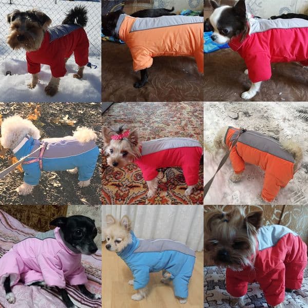 Winter Dog Overalls for Small Medium Dogs Cat Fleece Warm Waterproof Puppy Jacket Coat French Bulldog Jumpsuit Chihuahua Clothes