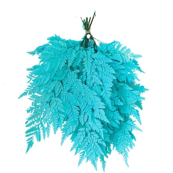 10pcs Large Preserved Alpine Fern Leaf Floral DIY Flowers Photography Prop Leaves Preserved Fresh Frond Home Office Indoor Decor